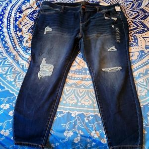 Nwt maurices plus size jeans